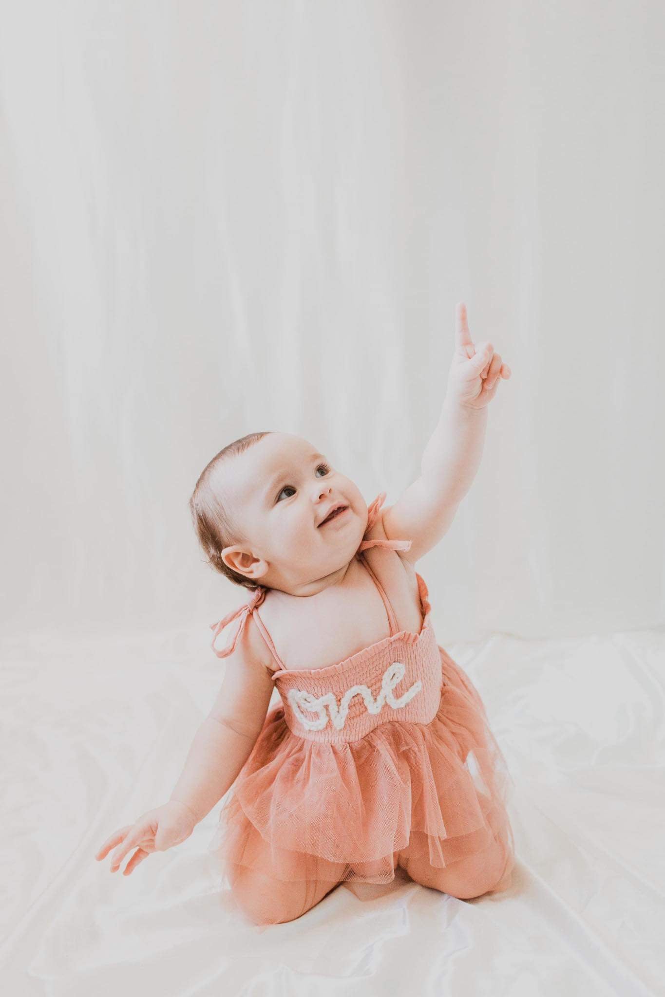 Custom Milestone Tulle Tutu Dresses